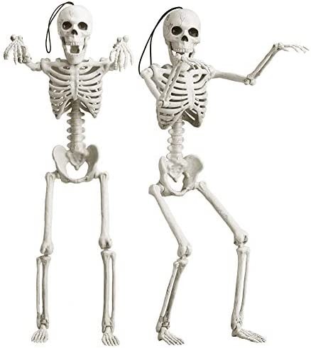 OKPOW 16" Small Skeleton Halloween Decor Full Body 2 Pack - Plastic Mini Skeleton Halloween Poseable Hanging Decorative - Cute Posable Joints Little Skeletons Indoor Table Decoration