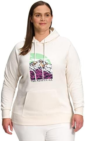 THE NORTH FACE Women's Graphic Injection Hoodie (Standard and Plus Size)